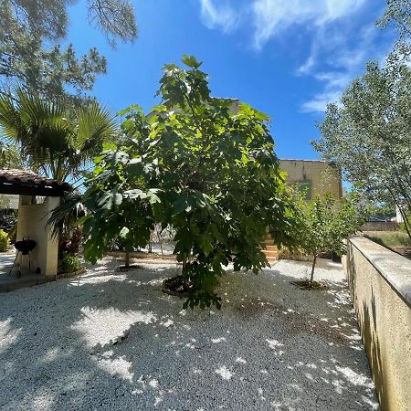 Marseillan Plage Joli T2 외부 사진